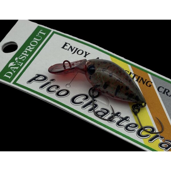 Daysprout Pico ChatteCra MD SS #TO-03