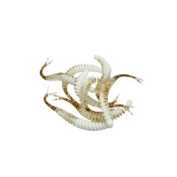 RL Trout Lures Long Lui 85mm #Bubblegum